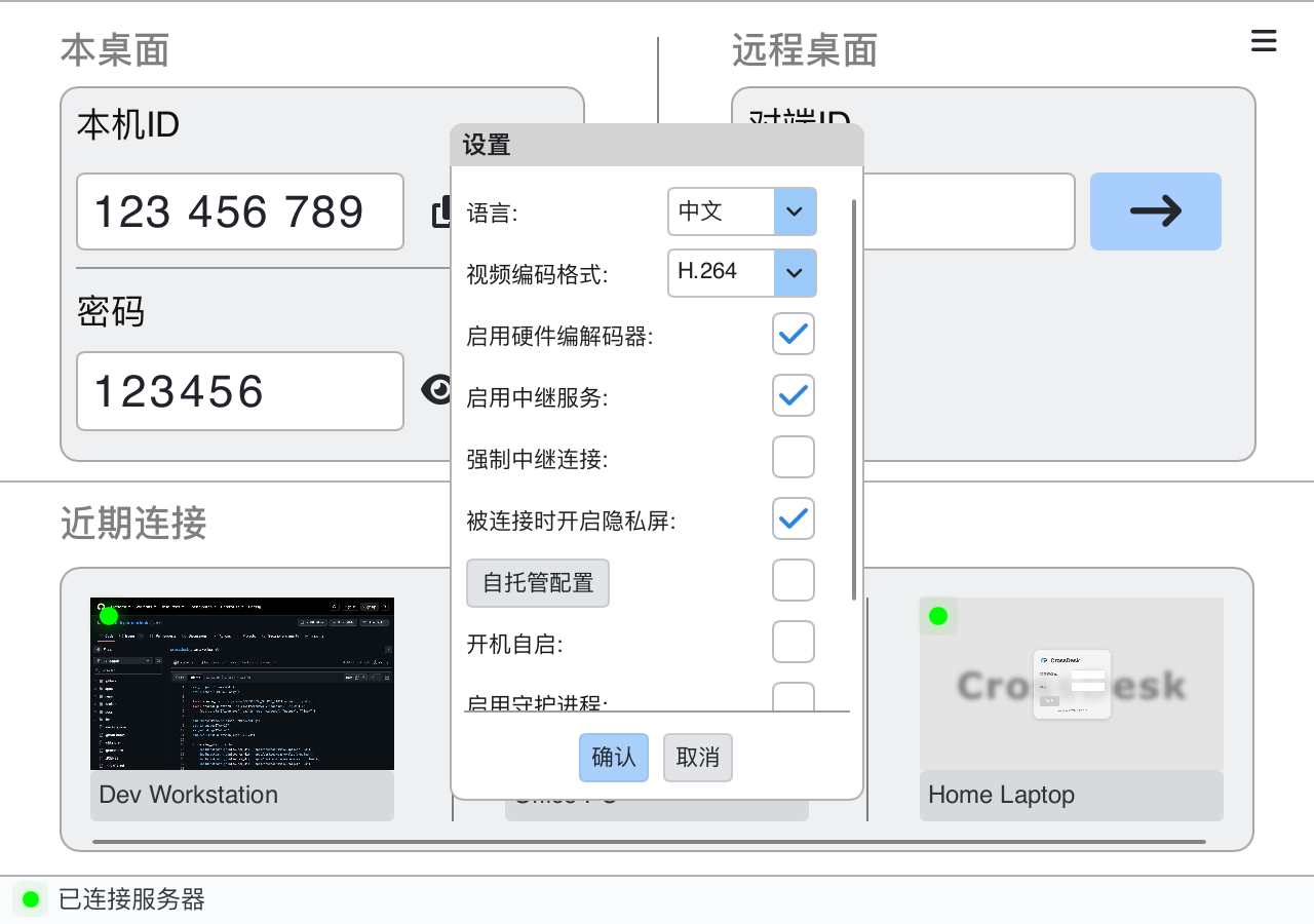 当前客户端设置：编码格式、硬件编解码、中继、强制中继与自动隐私屏
