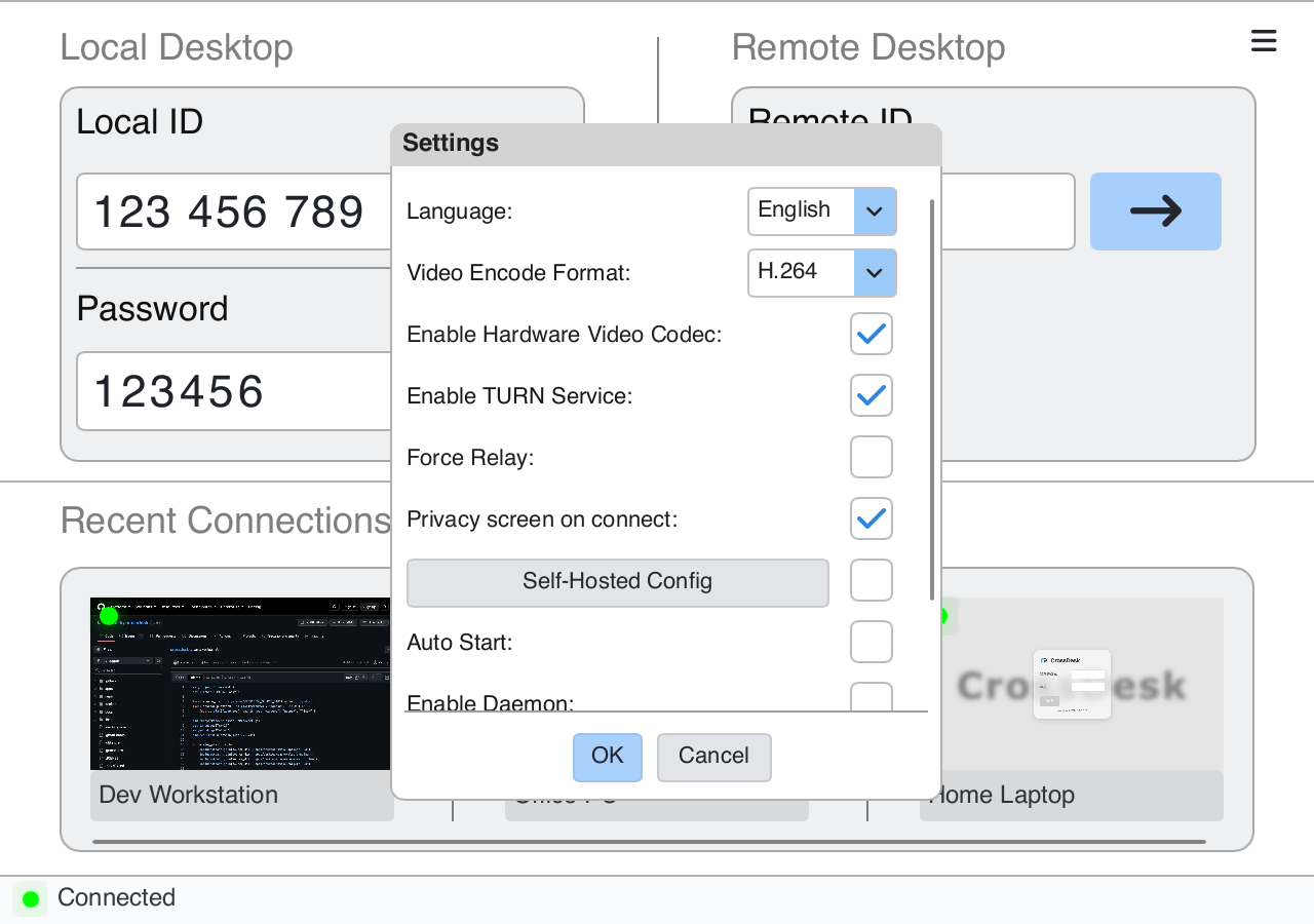 Current client settings with codec, hardware codecs, TURN, forced relay, and automatic privacy screen options